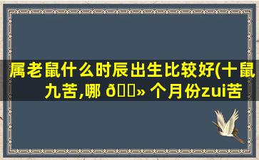 属老鼠什么时辰出生比较好(十鼠九苦,哪 🌻 个月份zui
苦 🌻 )